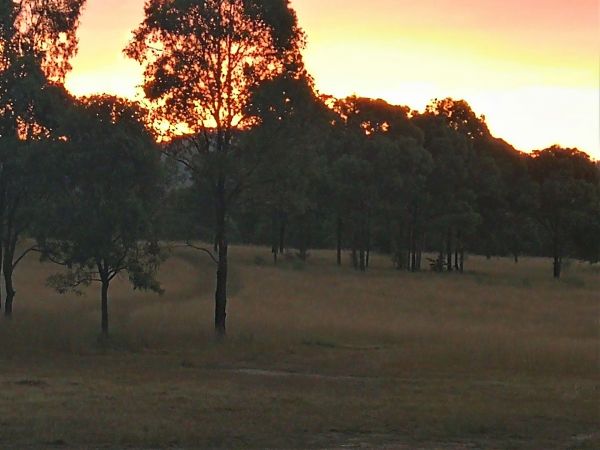 Sunsets